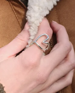 Anillo Bashi