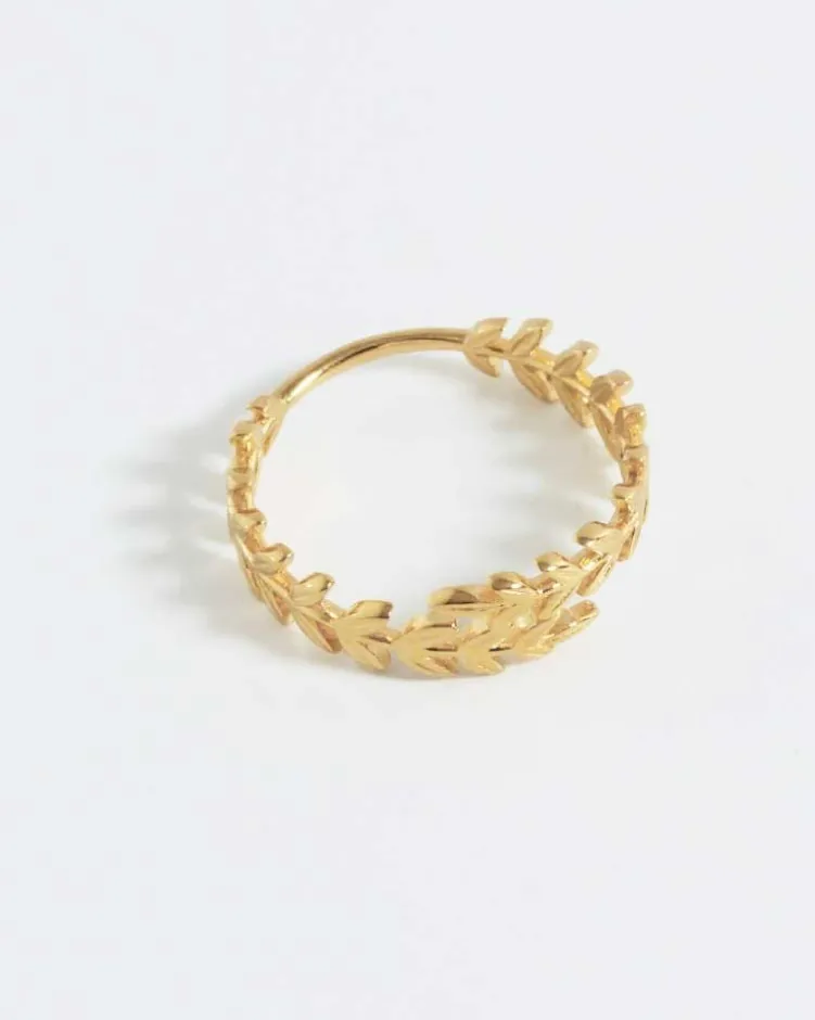 Anillo Defne oro