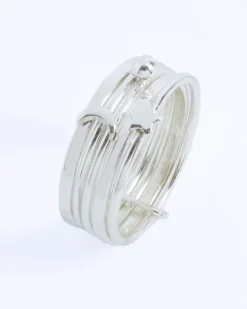 Anillo Zobe
