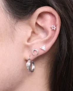 Aros Sesha
