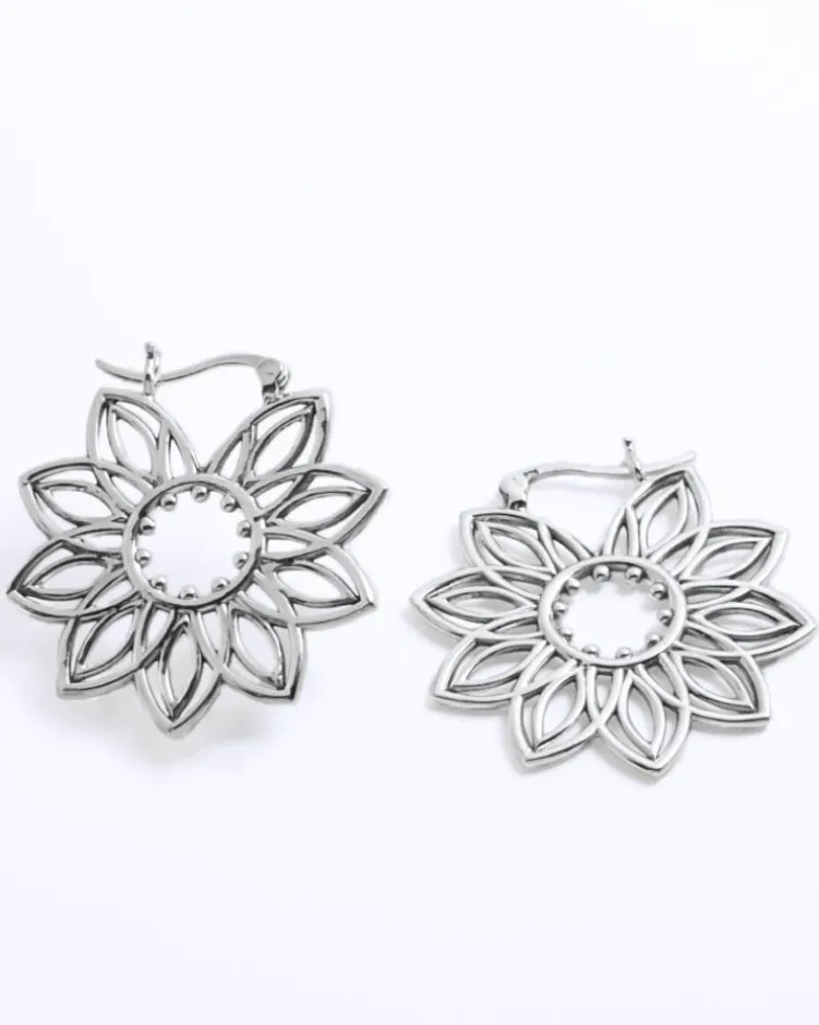Pendientes Naledi