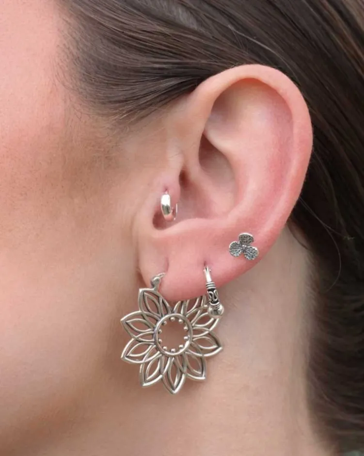 Pendientes Naledi